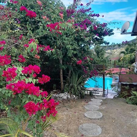 Le Diamant Charmante Villa Pour La Famille Ou Entre Amis Spa Et Piscine מראה חיצוני תמונה
