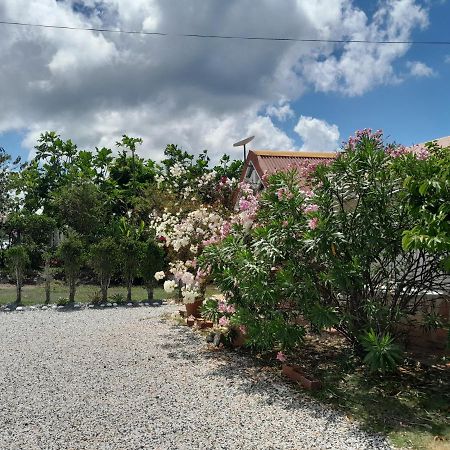 Le Diamant Charmante Villa Pour La Famille Ou Entre Amis Spa Et Piscine מראה חיצוני תמונה