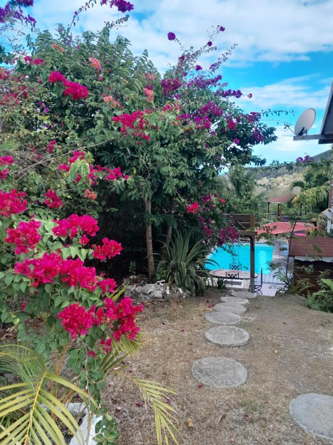 Le Diamant Charmante Villa Pour La Famille Ou Entre Amis Spa Et Piscine מראה חיצוני תמונה